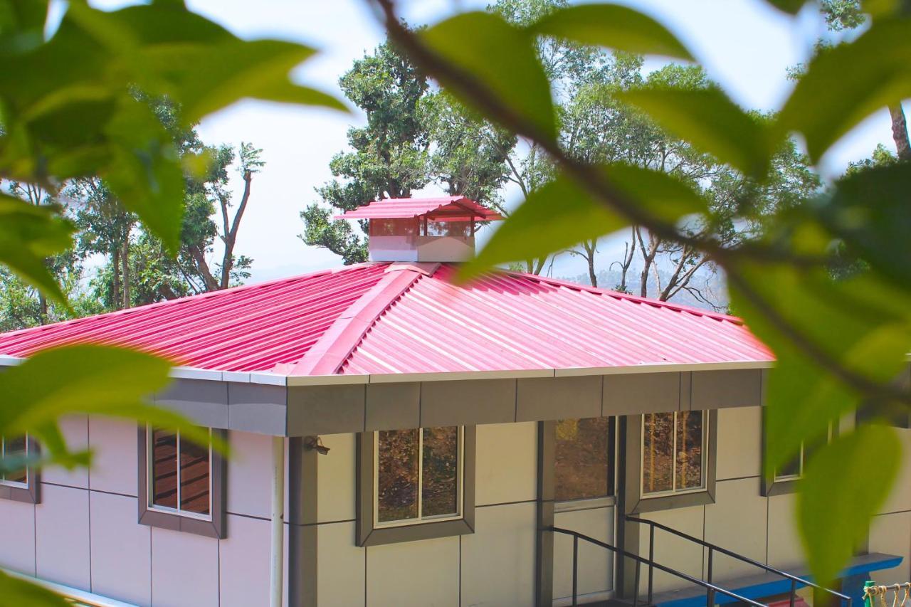 温莎小屋酒店 兰斯顿 外观 照片